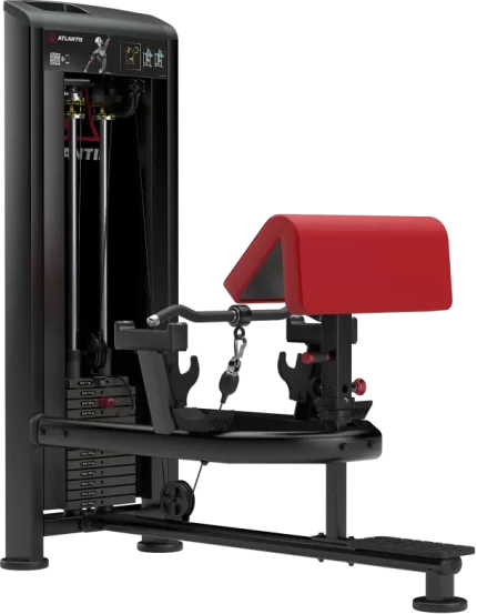 Atlantis Precision Standing Bicep Curl